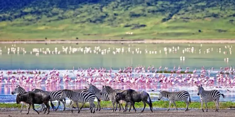 Ngorongoro crater