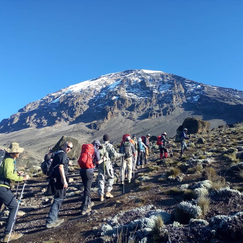 Conquer Mount Kilimanjaro: The Roof of Africa Awaits Conquer Mount Kilimanjaro: The Roof of Africa Awaits