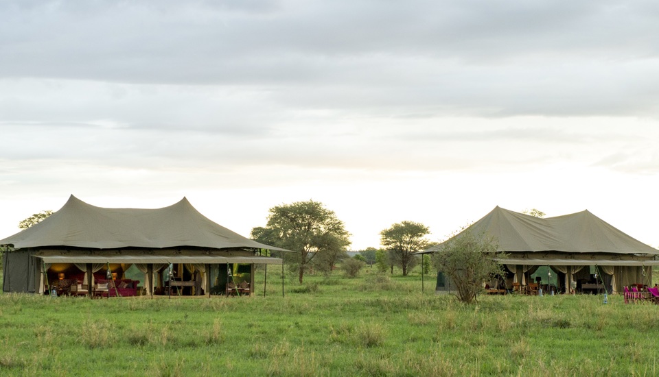 Fly In Serengeti Safari Fly In Serengeti Safari