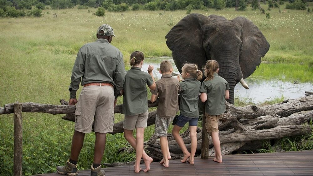 Luxury Family Safari Luxury Family Safari