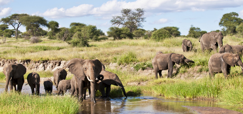 4 Day Joining Safari 4 Day Joining Safari