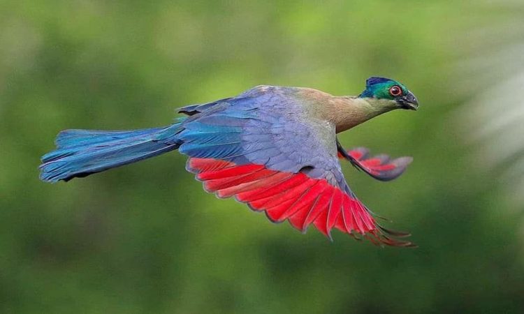 4 Day Private Safari 4 Day Private Safari