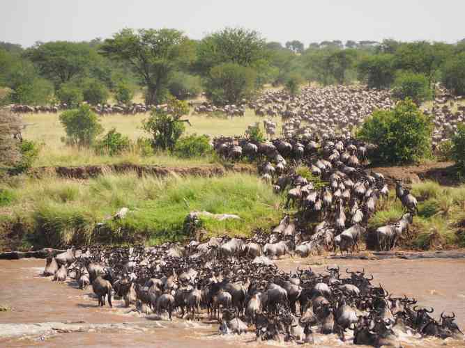 4 Day Private Safari 4 Day Private Safari