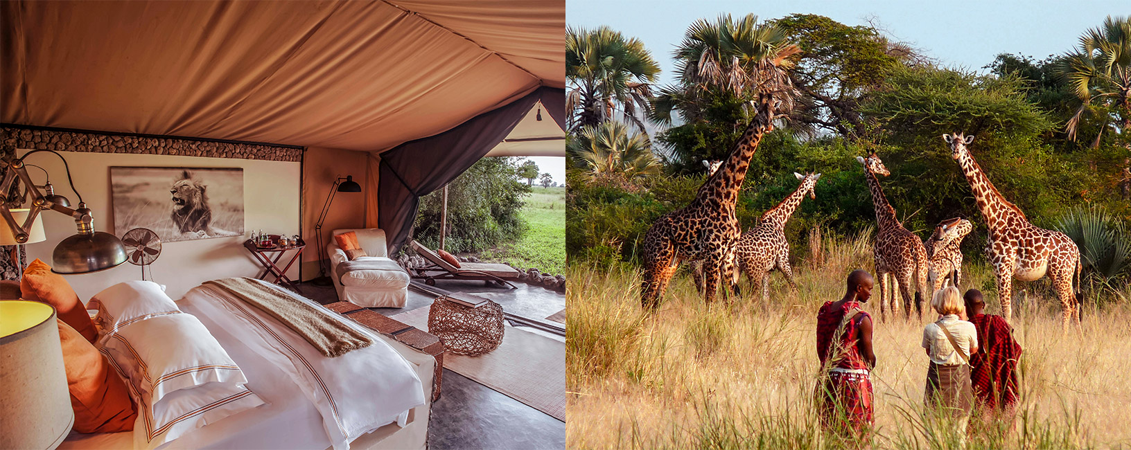 The Best Holiday Safari in Tanzania The Best Holiday Safari in Tanzania
