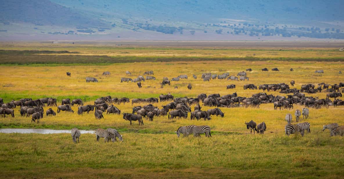 Tanzania Safari Source’s 1 Week Holiday Family Escape Tanzania Safari Source’s 1 Week Holiday Family Escape