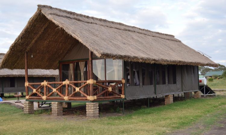 Holiday Safari in Tanzania Prices Holiday Safari in Tanzania Prices