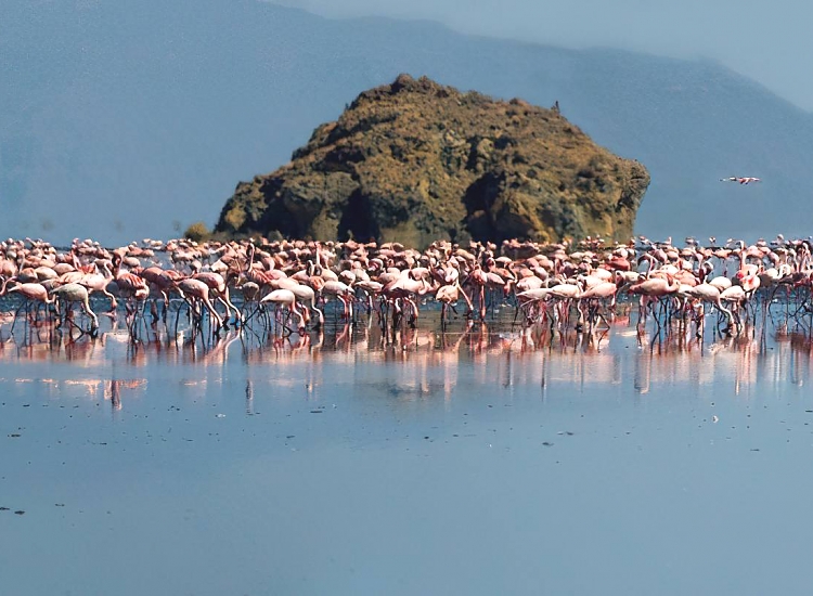 Tanzania Safari Itinerary This Season Tanzania Safari Itinerary This Season