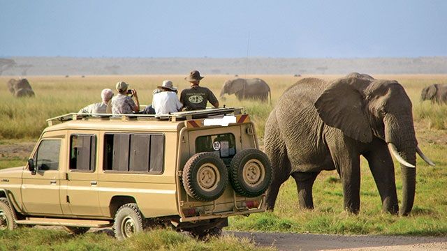 A Serengeti Holiday A Serengeti Holiday