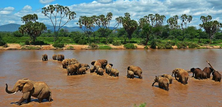 Best of Tanzania: Northern Circuit Safari Best of Tanzania: Northern Circuit Safari