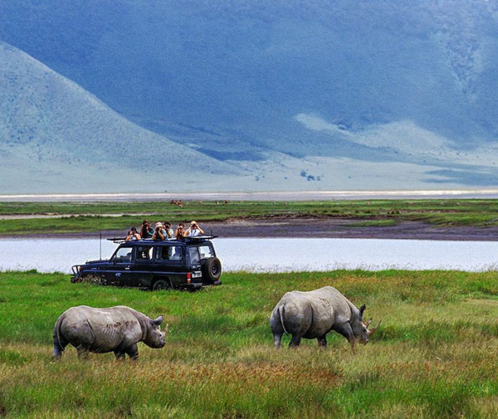January 2026: Northern Tanzania Safari & Spice Island Escape January 2026: Northern Tanzania Safari & Spice Island Escape