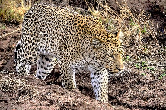 Northern Circuit Safari & Zanzibar Holiday