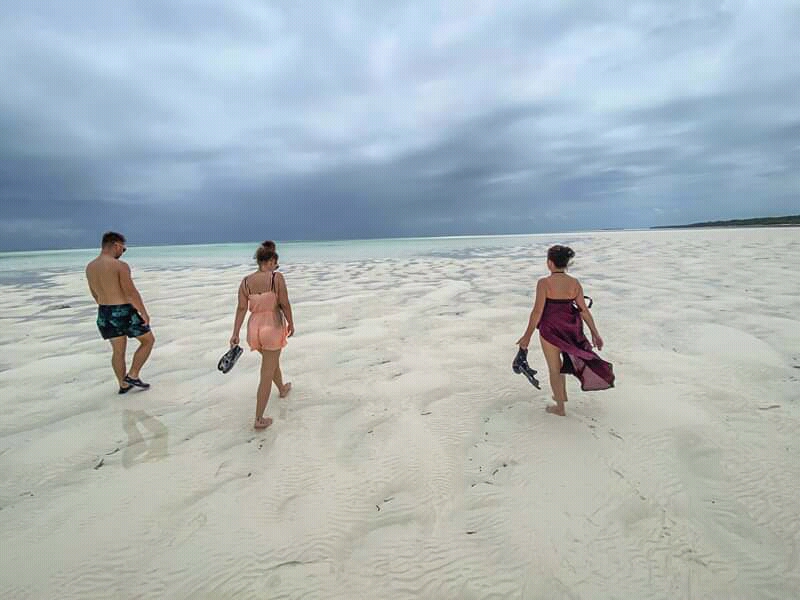 Top Rated Tanzania Safari & Zanzibar Packages for January 2026 Top Rated Tanzania Safari & Zanzibar Packages for January 2026