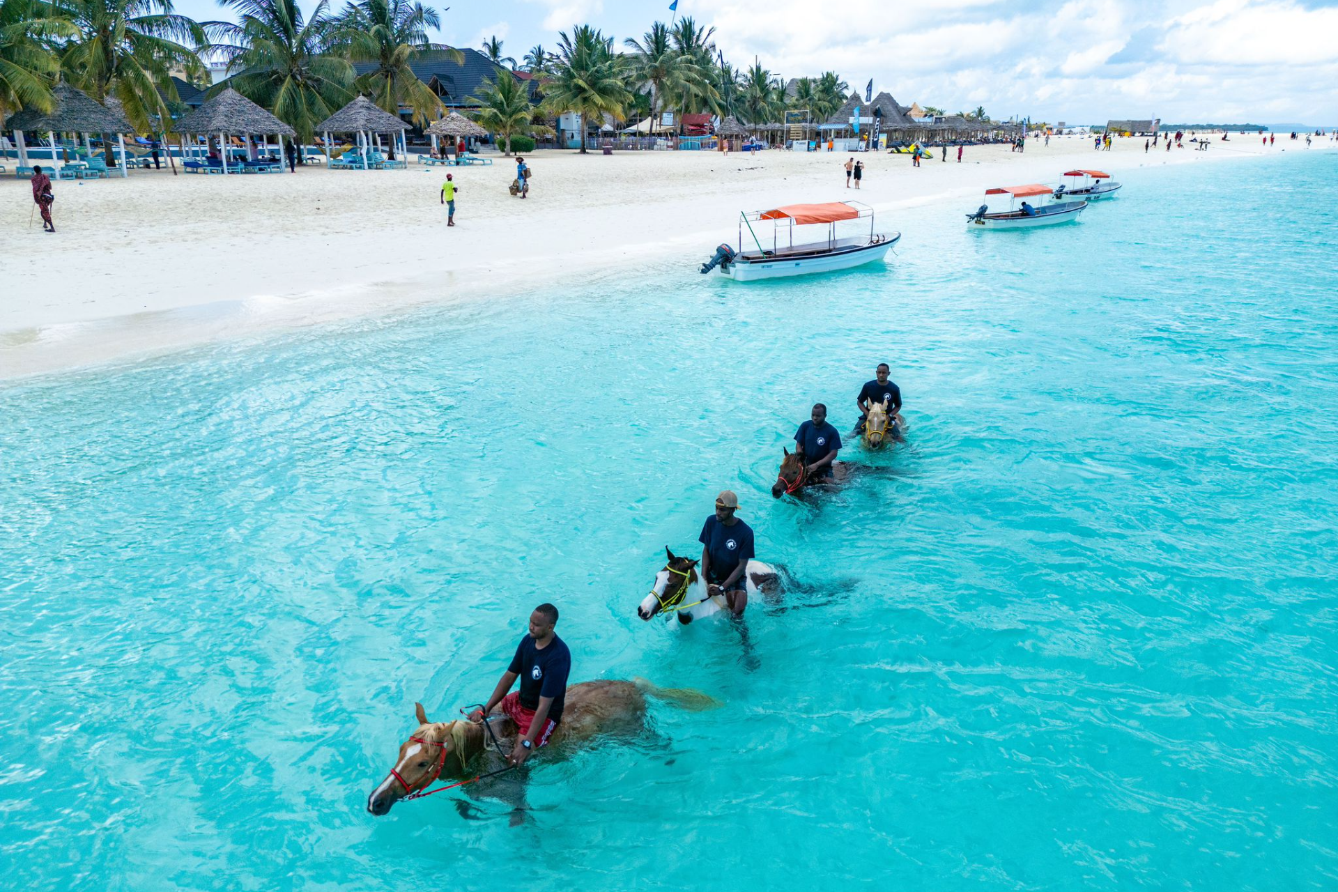 Why January Is the Best Time for a Northern Safari & Zanzibar in 2026 Why January Is the Best Time for a Northern Safari & Zanzibar in 2026
