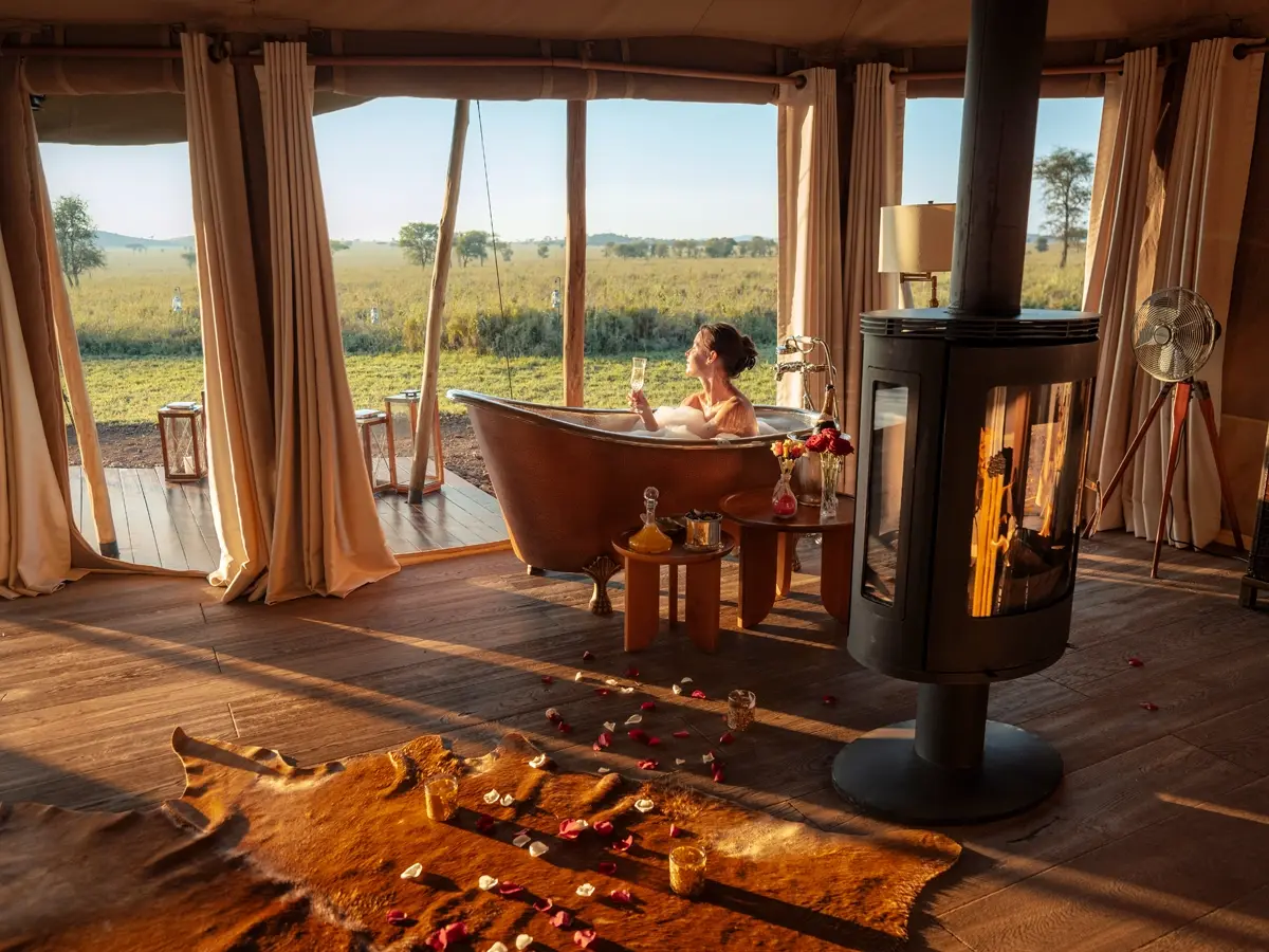 Valentine Safari Special: Serengeti Calving and Ngorongoro Valentine Safari Special: Serengeti Calving and Ngorongoro