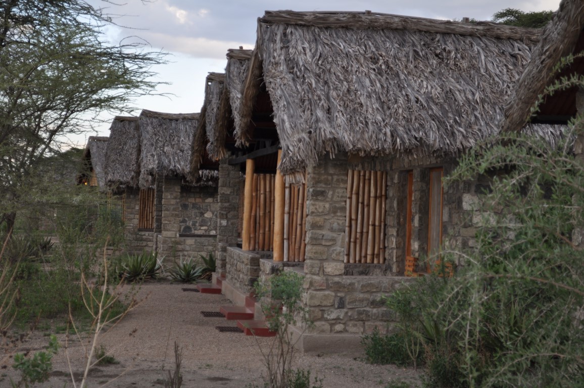 February in Ndutu: The Heart of the Calving Season – A Valentine’s Safari Experience February in Ndutu: The Heart of the Calving Season – A Valentine’s Safari Experience