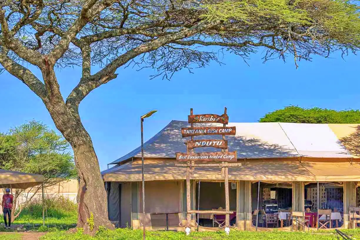 Serengeti Births: Top Rated February Ndutu Solo Safari Package Serengeti Births: Top Rated February Ndutu Solo Safari Package