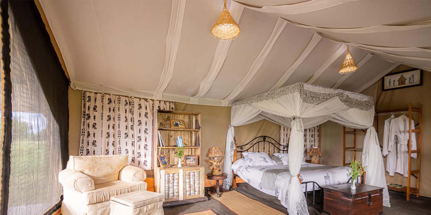 A Guide to Ndutu Calving Season: Best Time, Lodges, and Travel Tips A Guide to Ndutu Calving Season: Best Time, Lodges, and Travel Tips