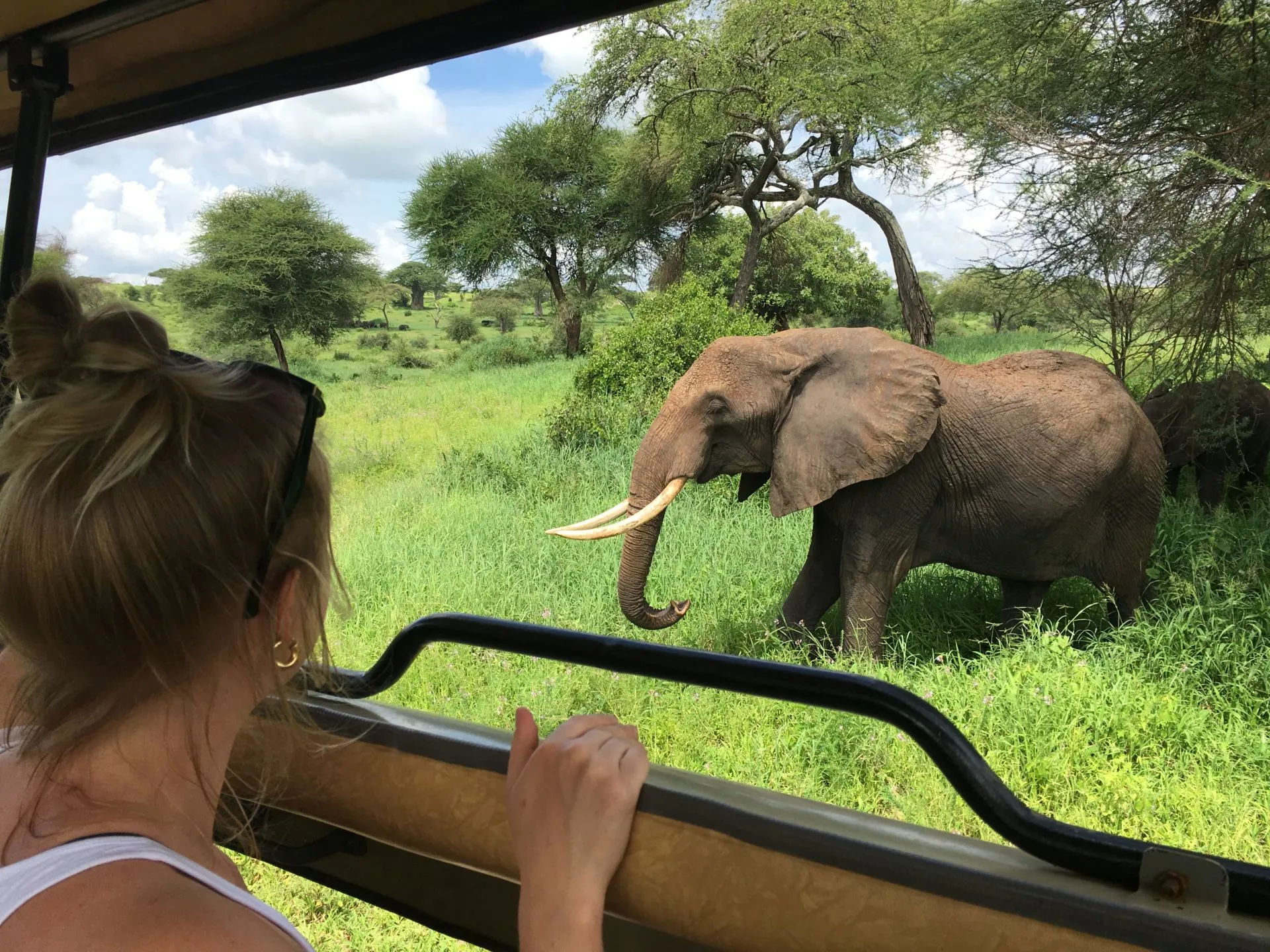February in Serengeti National Park: The Calving Season Experience February in Serengeti National Park: The Calving Season Experience