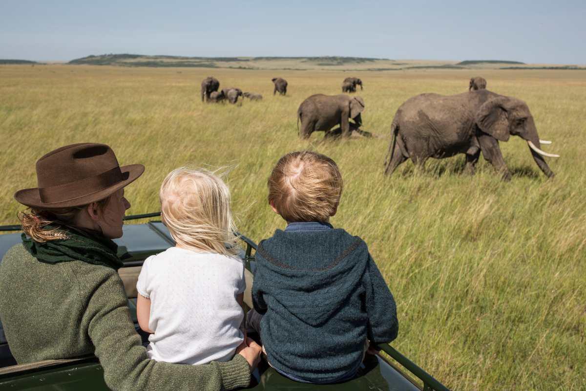 Why Serengeti National Park Is Perfect for a Family Safari in February Why Serengeti National Park Is Perfect for a Family Safari in February