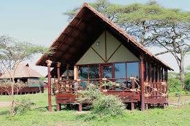 3&ndash;5 Day Ndutu Safari Itinerary: Perfect Short Tanzania Trip