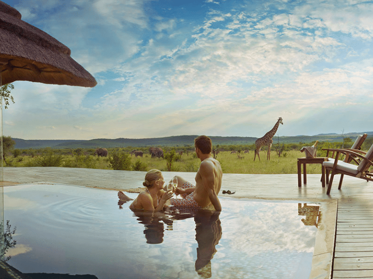 Trusted Local Safari Company for First-Time Travelers Trusted Local Safari Company for First-Time Travelers