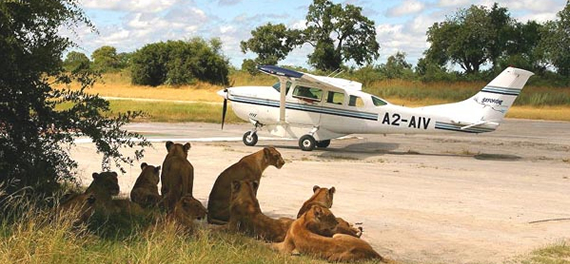 Tanzania Safari for Couples, Families and Solo Travelers This March Tanzania Safari for Couples, Families and Solo Travelers This March