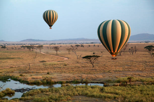 How Much Does a Tanzania Safari Cost in 2026? Complete Price Guide How Much Does a Tanzania Safari Cost in 2026? Complete Price Guide