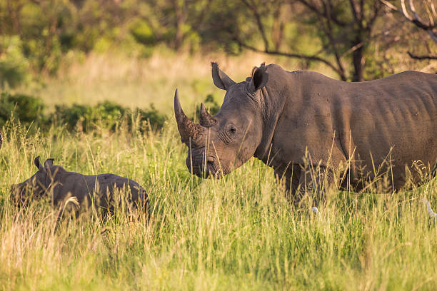 Best Tanzania Safari Itinerary for 5 Days – Our Complete Guide Best Tanzania Safari Itinerary for 5 Days – Our Complete Guide