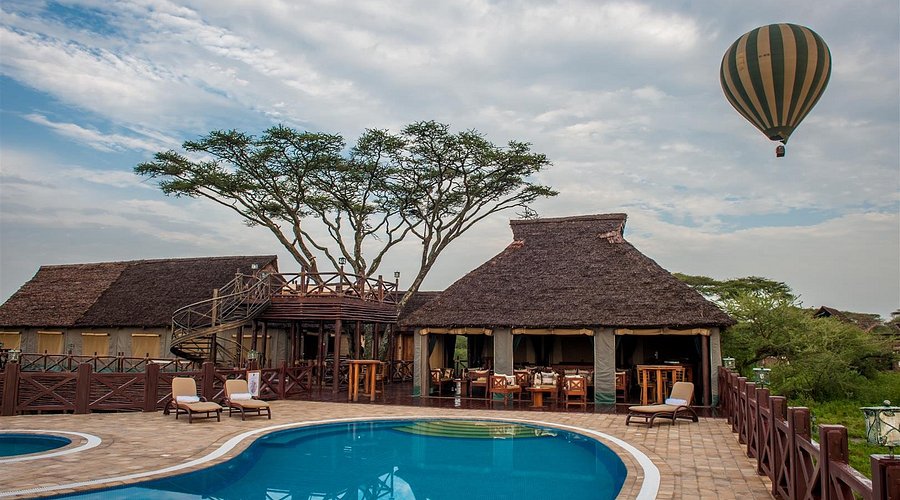 Luxury Safari in Ndutu: Top Camps and Lodges to Book Luxury Safari in Ndutu: Top Camps and Lodges to Book