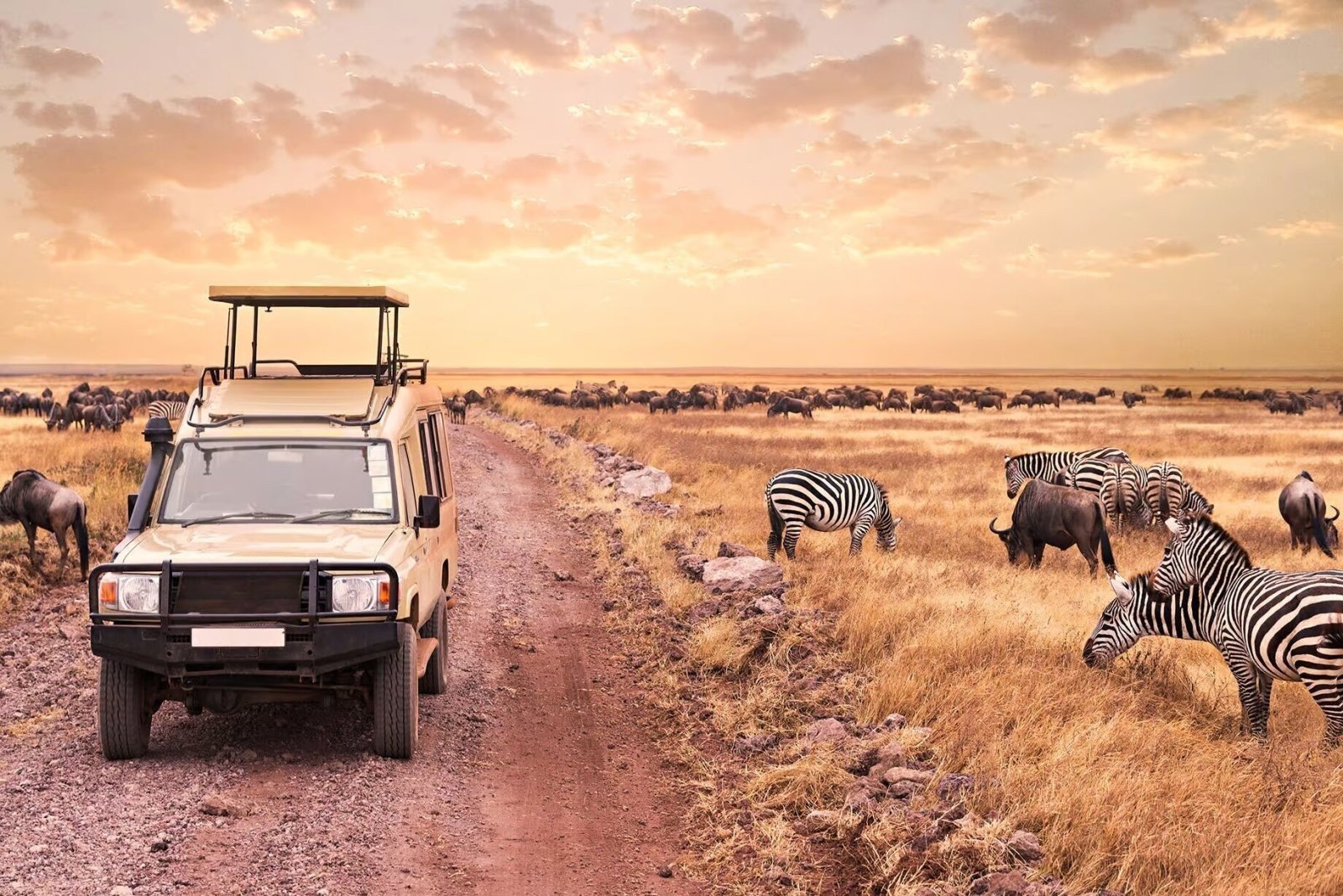 Witness the Great Migration in 2026: Serengeti Safari Tips