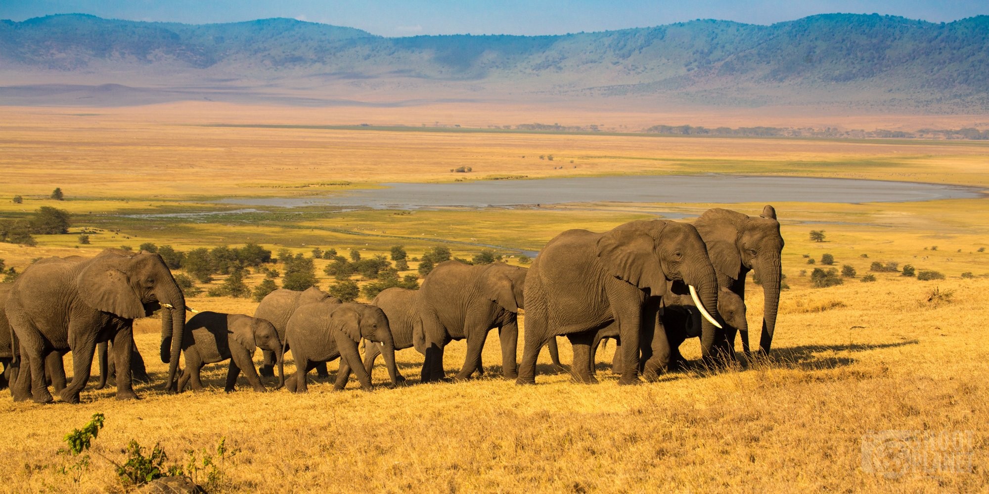 Ngorongoro Crater Safari: A Wildlife Paradise in Tanzania Ngorongoro Crater Safari: A Wildlife Paradise in Tanzania