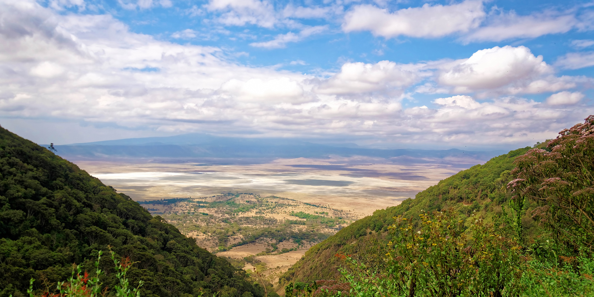 Ngorongoro Crater Safari: A Wildlife Paradise in Tanzania Ngorongoro Crater Safari: A Wildlife Paradise in Tanzania