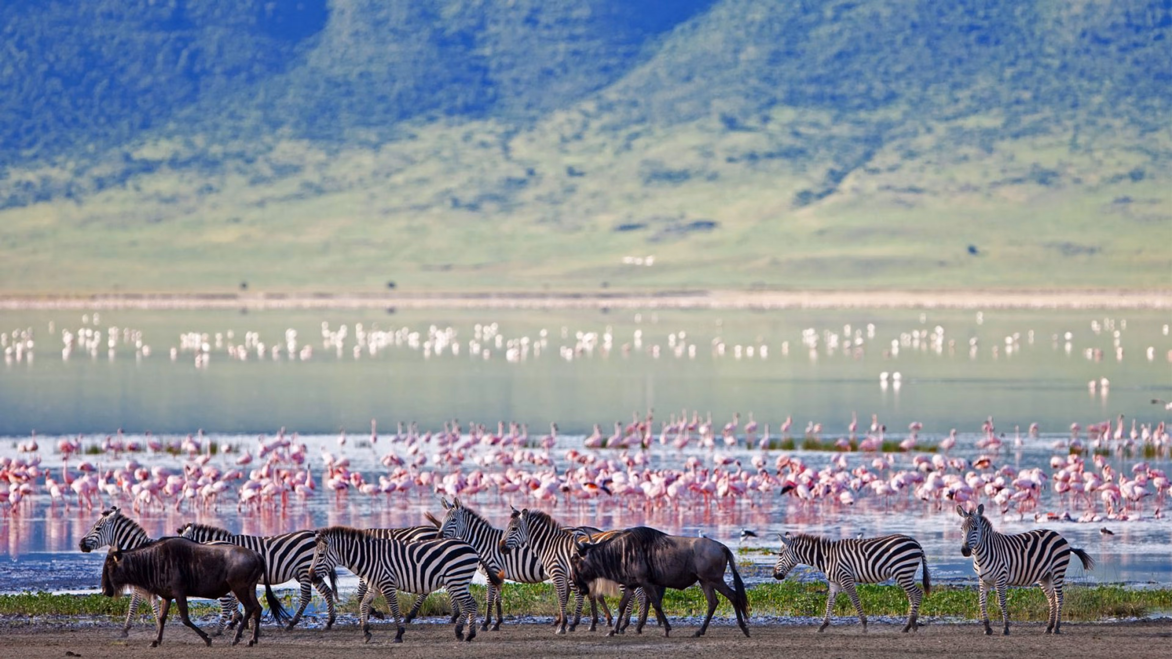 Ngorongoro Crater Safari: A Wildlife Paradise in Tanzania Ngorongoro Crater Safari: A Wildlife Paradise in Tanzania