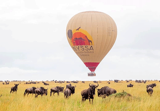 Hot Air Balloon Safari in Serengeti: A Once in a Lifetime Adventure Hot Air Balloon Safari in Serengeti: A Once in a Lifetime Adventure