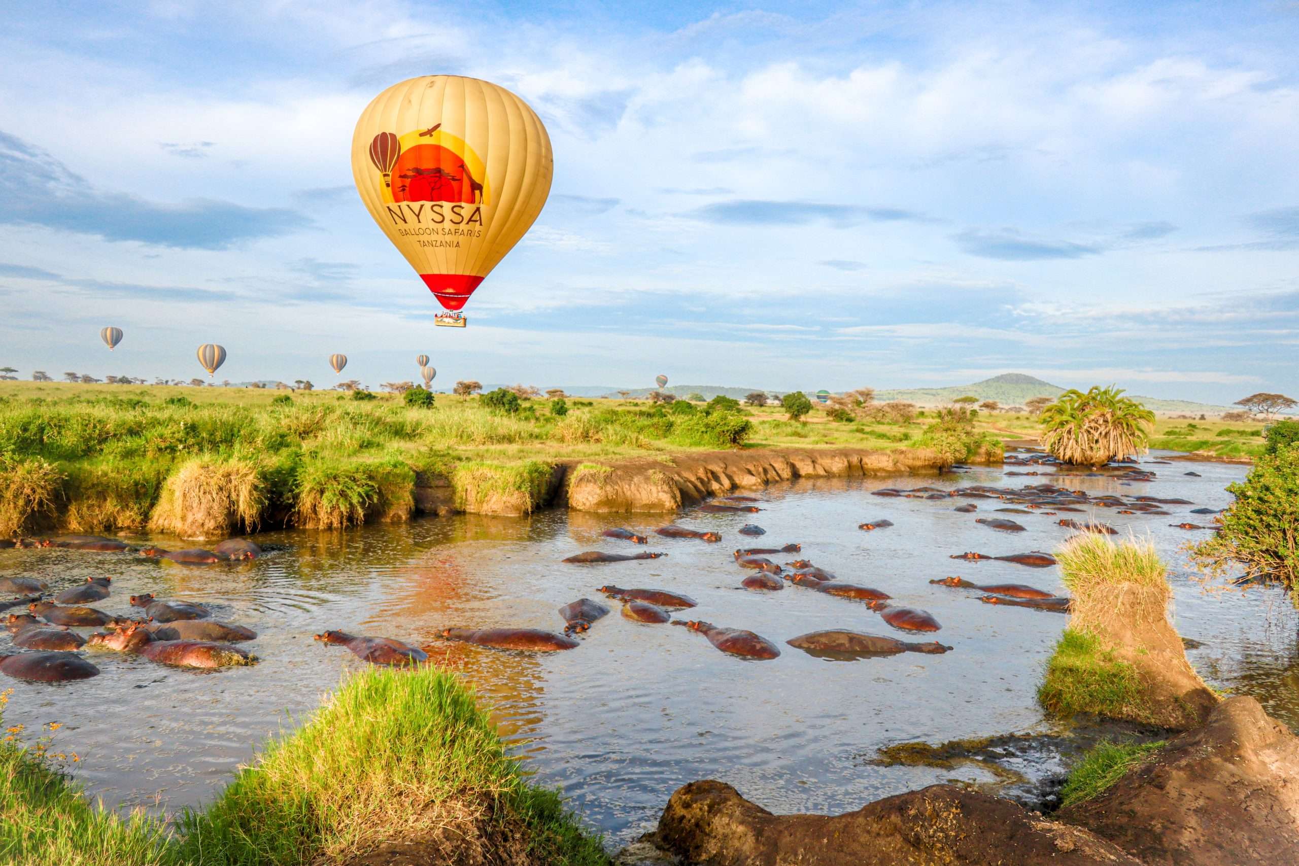 Hot Air Balloon Safari in Serengeti: A Once in a Lifetime Adventure Hot Air Balloon Safari in Serengeti: A Once in a Lifetime Adventure