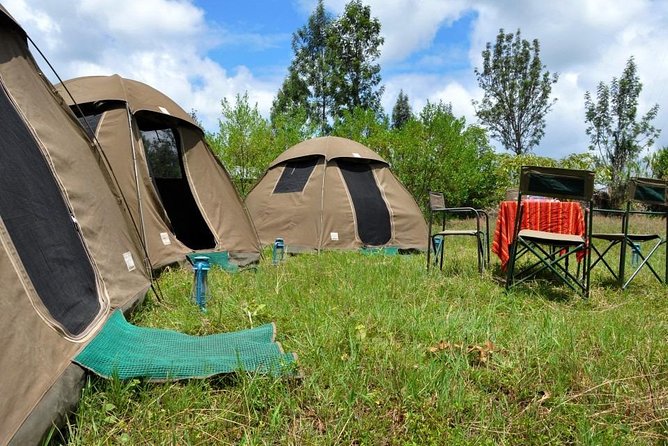 Camping Safari vs Lodge Safari: Which Tanzania Safari Experience Is Right for You?