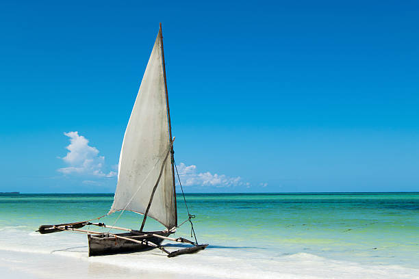 October Travel in Tanzania: Northern Circuit Safaris & Zanzibar Beach Escapes October Travel in Tanzania: Northern Circuit Safaris & Zanzibar Beach Escapes