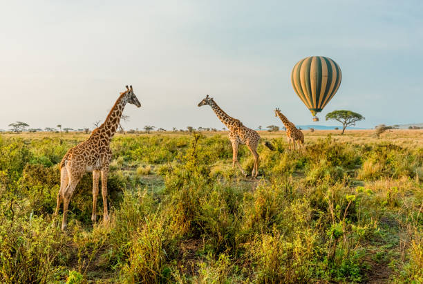 Best countries to go in october Best countries to go in october