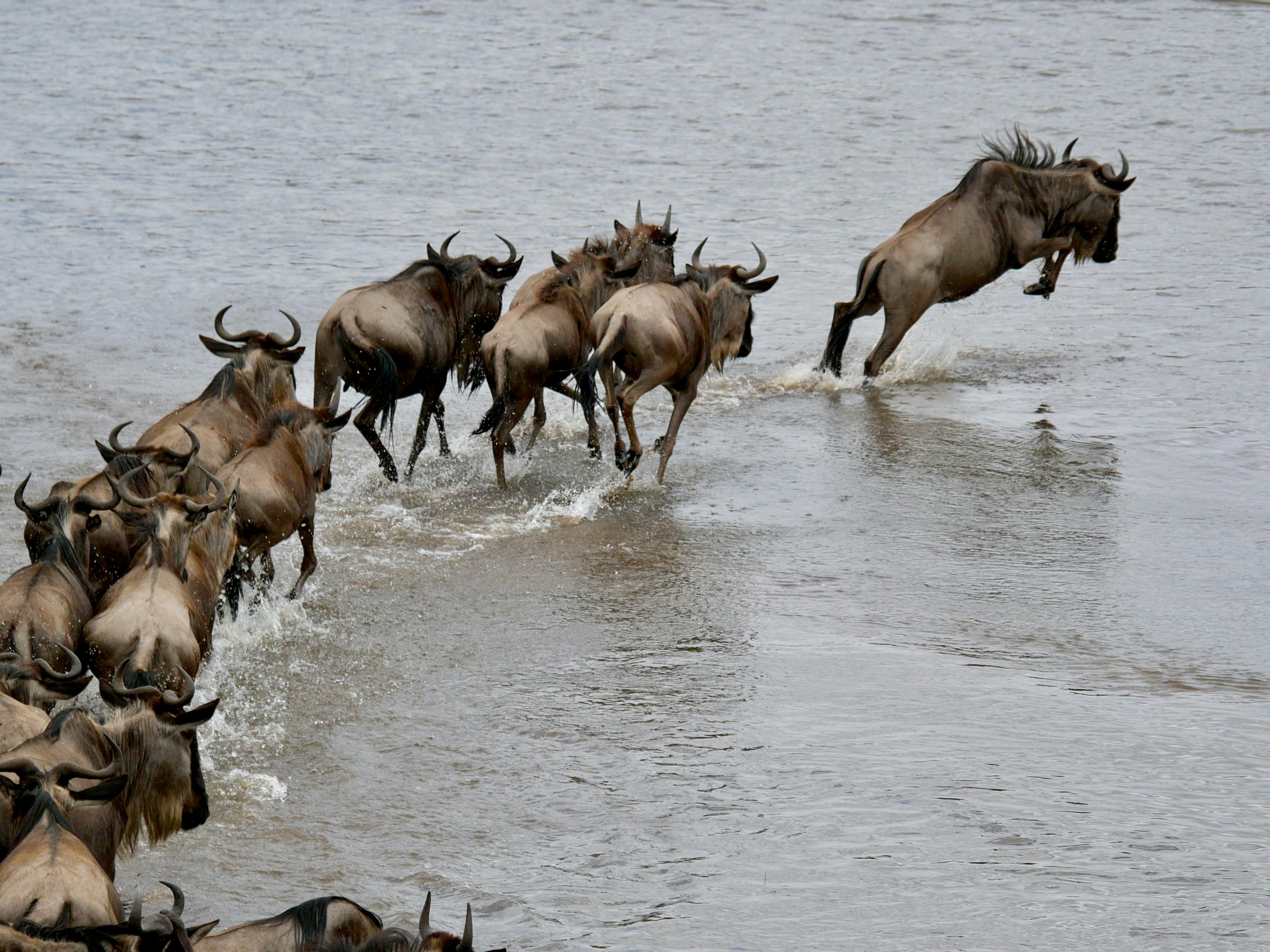 Where is Serengeti National Park? Where is Serengeti National Park?