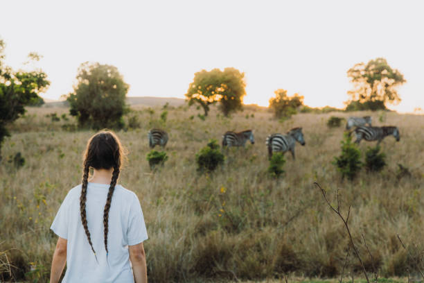 Private Serengeti Safari vs Group Safari