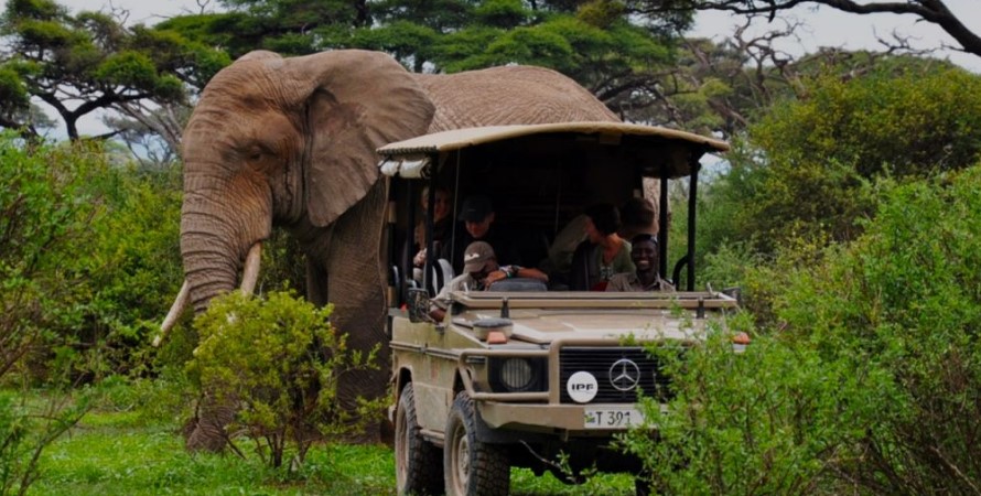 Where to See Elephants in Northern Tanzania Where to See Elephants in Northern Tanzania