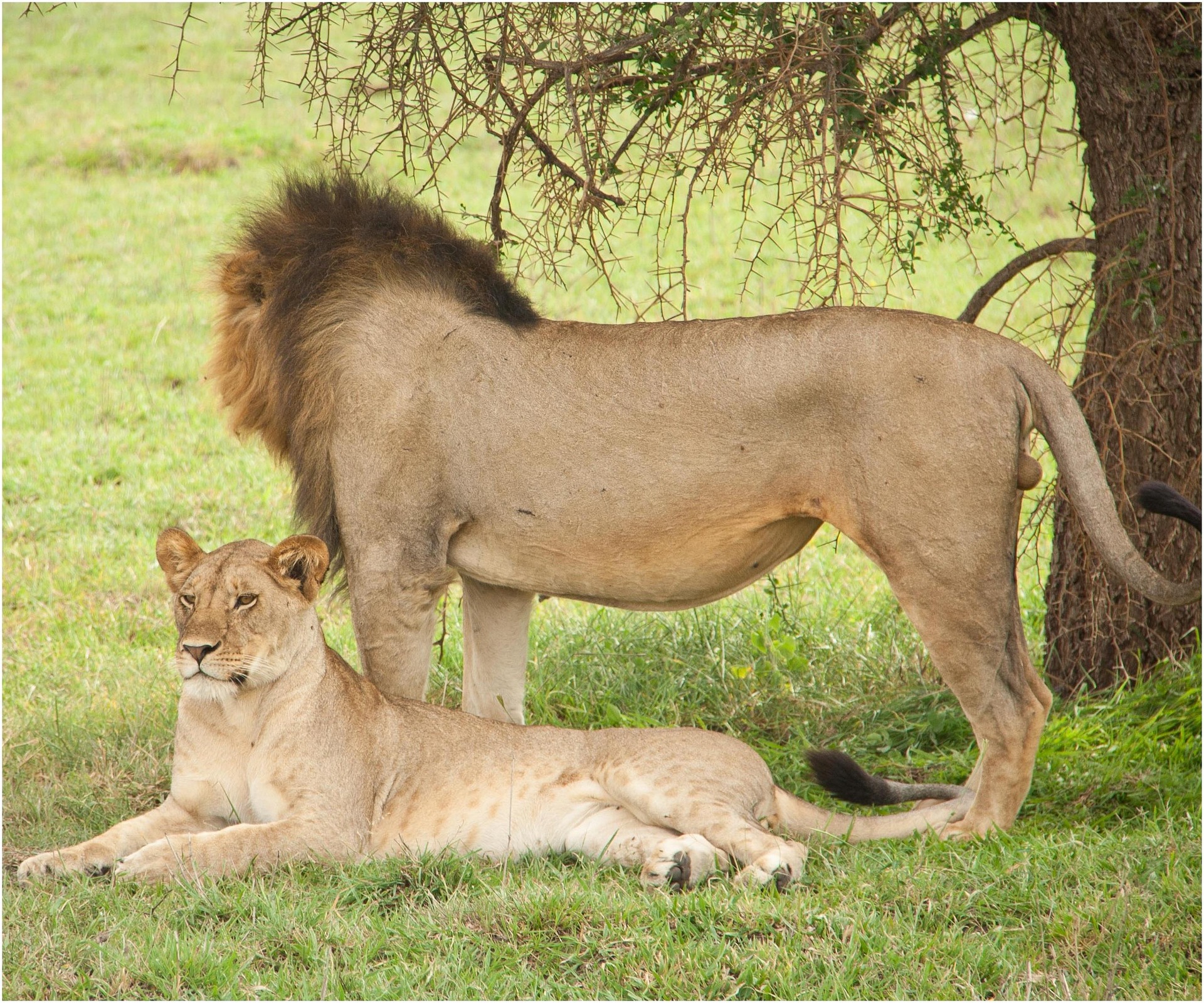The Secret Season: Why May is the Best Kept Secret for a Serengeti Safari The Secret Season: Why May is the Best Kept Secret for a Serengeti Safari