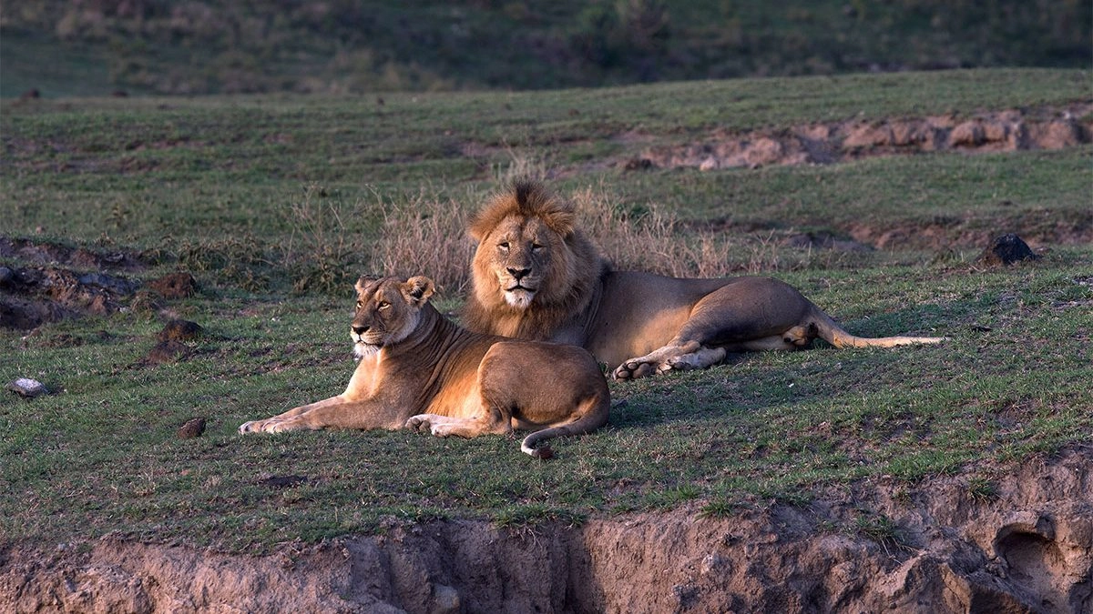 Ngorongoro Without the Crowds: What It&rsquo;s Like to Have the Crater to Yourself