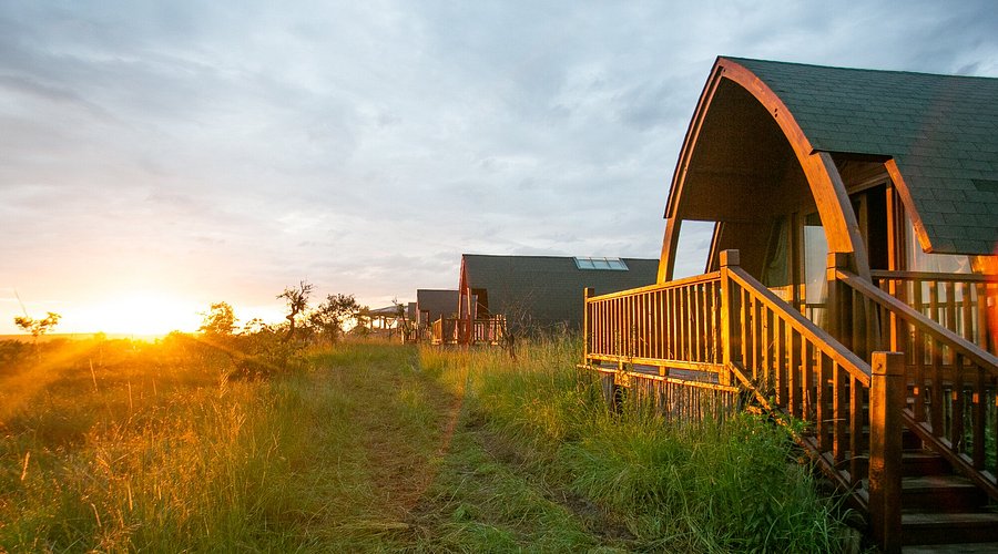 Great Migration Safari 2026: Following the Herds Through June, July, and August