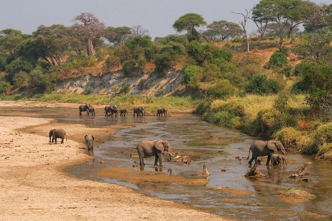 5 Day Serengeti Safari 2026 – Ultimate Tanzania Wildlife Journey 5 Day Serengeti Safari 2026 – Ultimate Tanzania Wildlife Journey