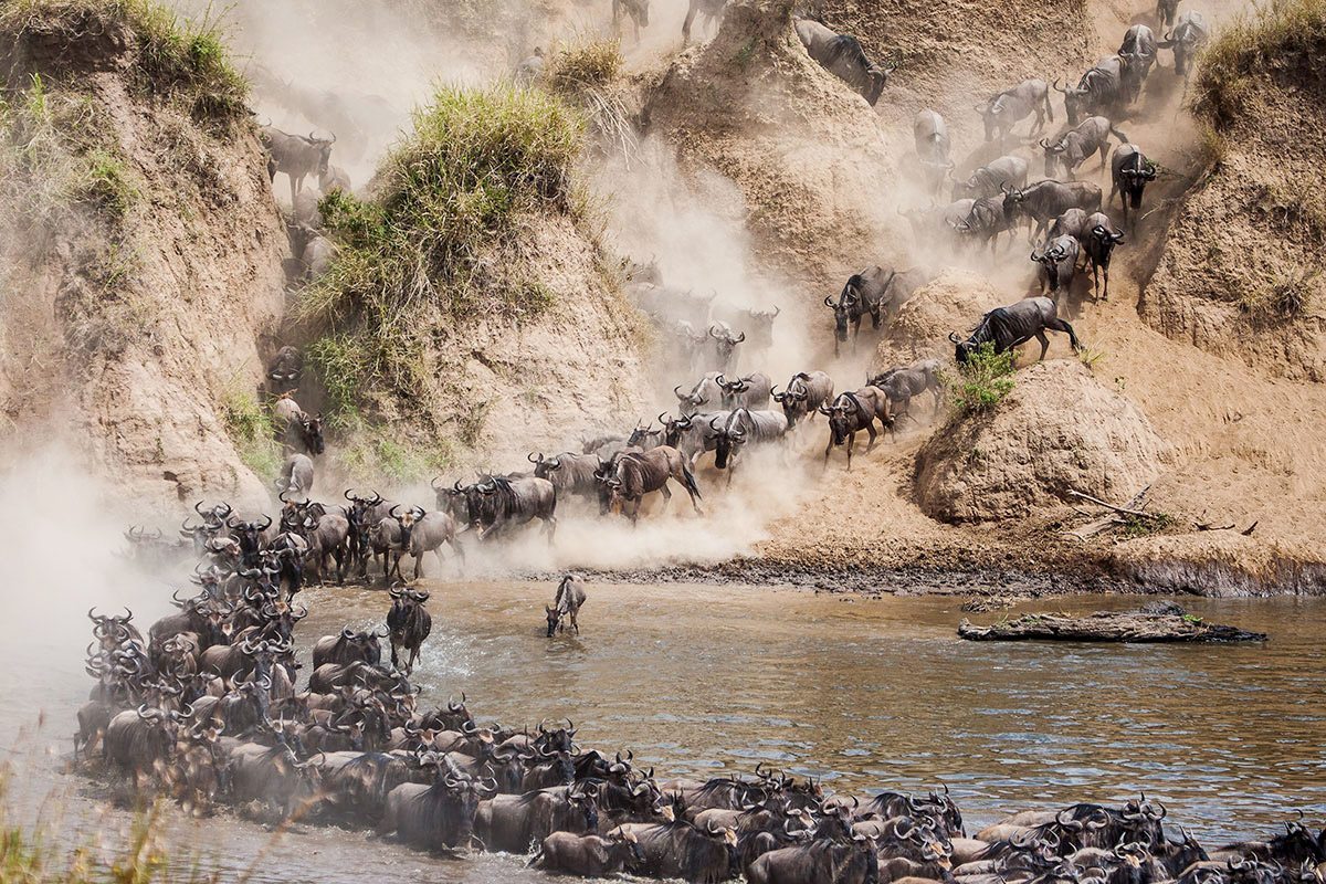 5 Day Serengeti Safari 2026 – Ultimate Tanzania Wildlife Journey 5 Day Serengeti Safari 2026 – Ultimate Tanzania Wildlife Journey