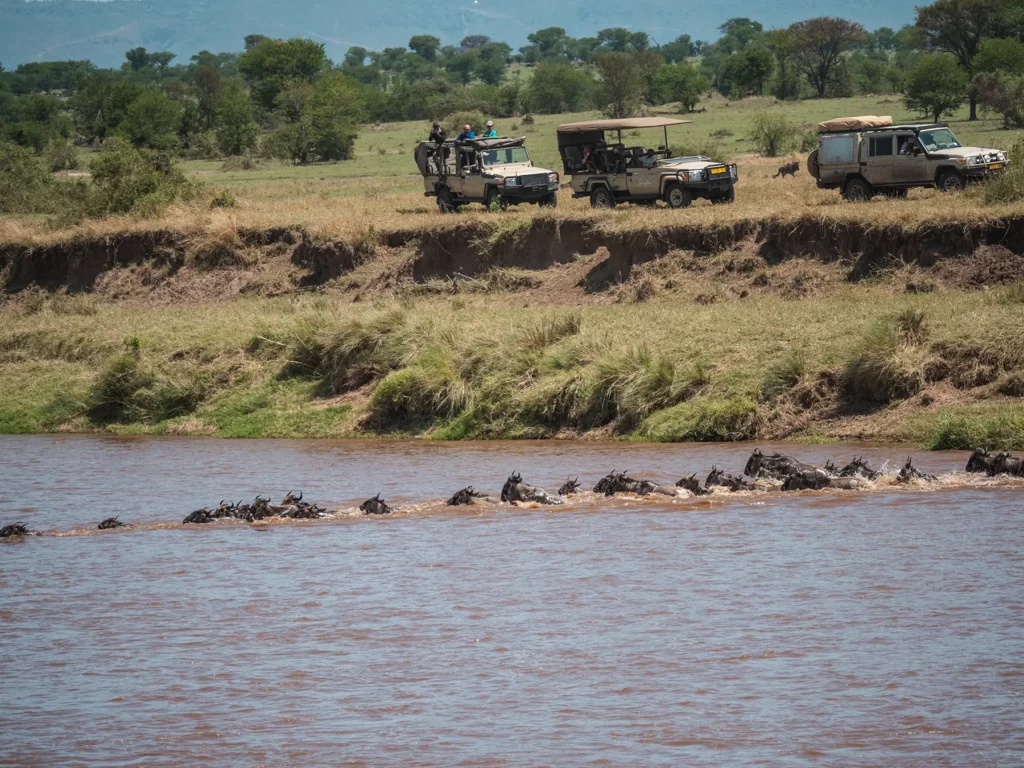 Great Migration River Crossings 2026: Where to Be in July and August