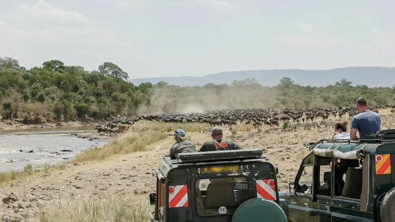 Great Migration River Crossings 2026: Where to Be in July and August