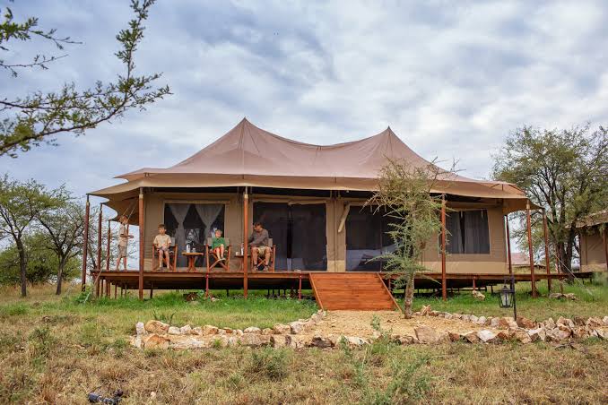 Great Migration 2026: Where to See the Wildebeest Herds in June, July and August Great Migration 2026: Where to See the Wildebeest Herds in June, July and August