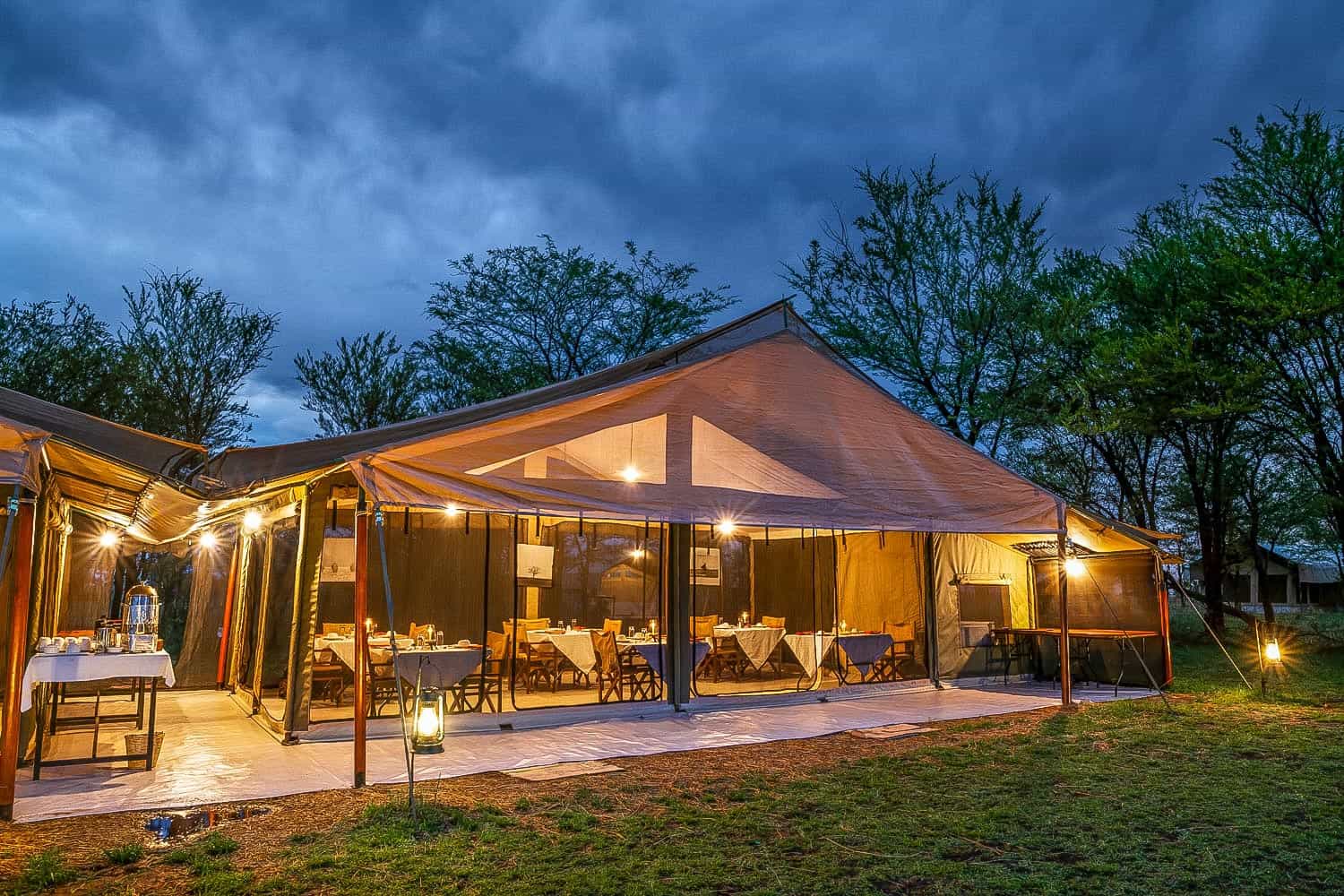 Best Affordable Safari Company in Arusha and Moshi Tanzania